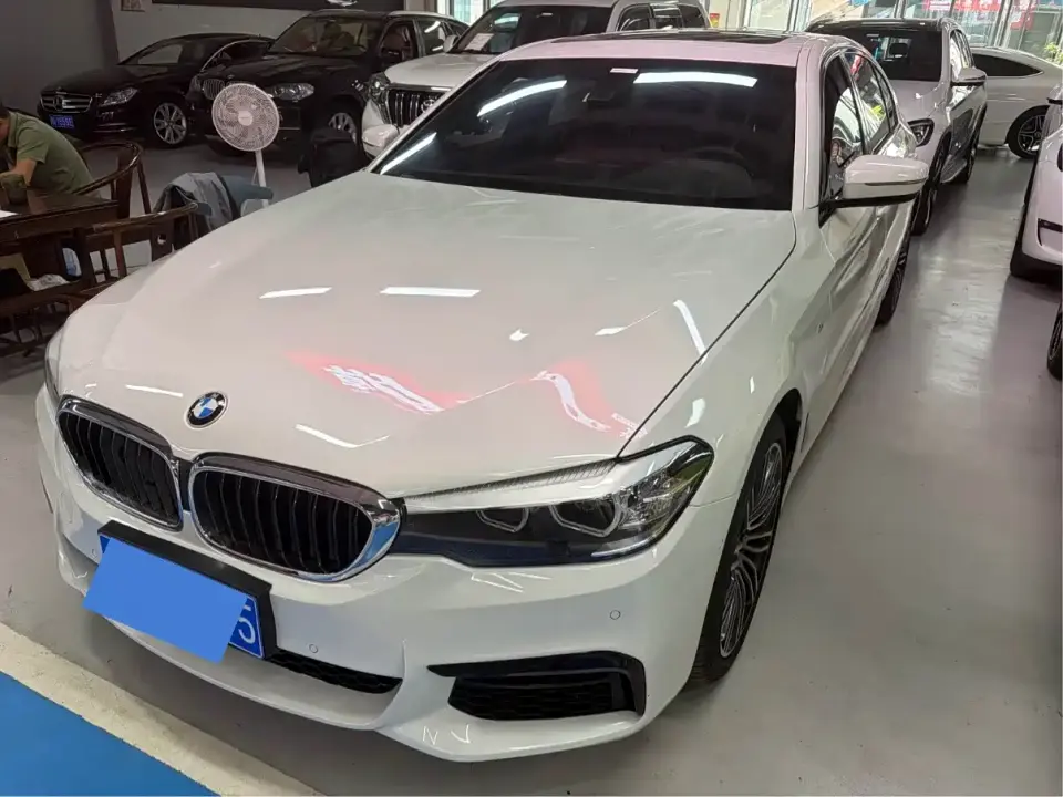 BMW 5 Series 530Li Leading M Sport Package 2019