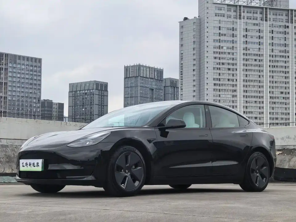 Tesla Model 3 Model Rear-Wheel Drive Version 2022