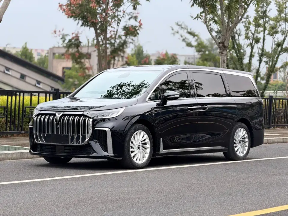 Voyah Auto Voyah Dreamer Low Carbon Edition Home 2023
