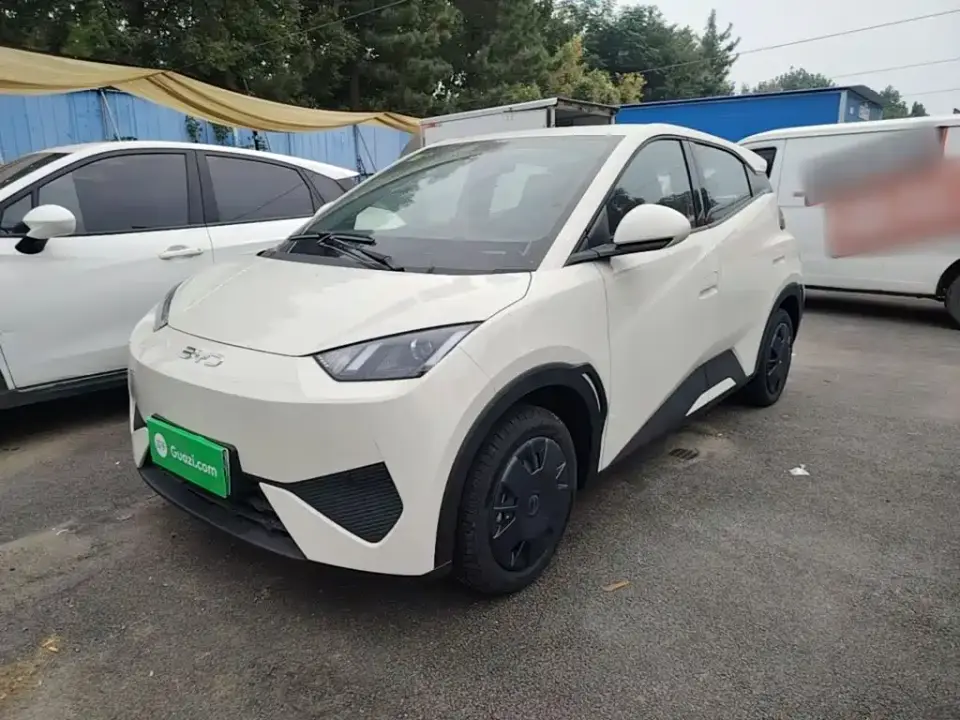 BYD Seagull Smart Drive Edition 305km Vitality Version 2026