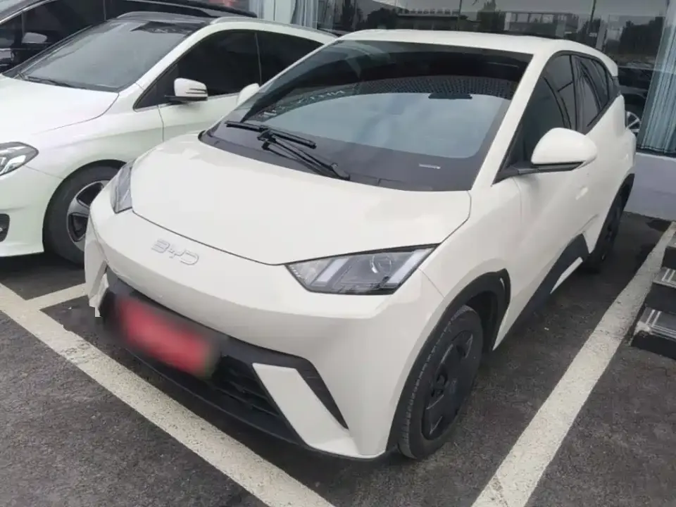 BYD Seagull Glory Edition 305km Vitality Edition 2024