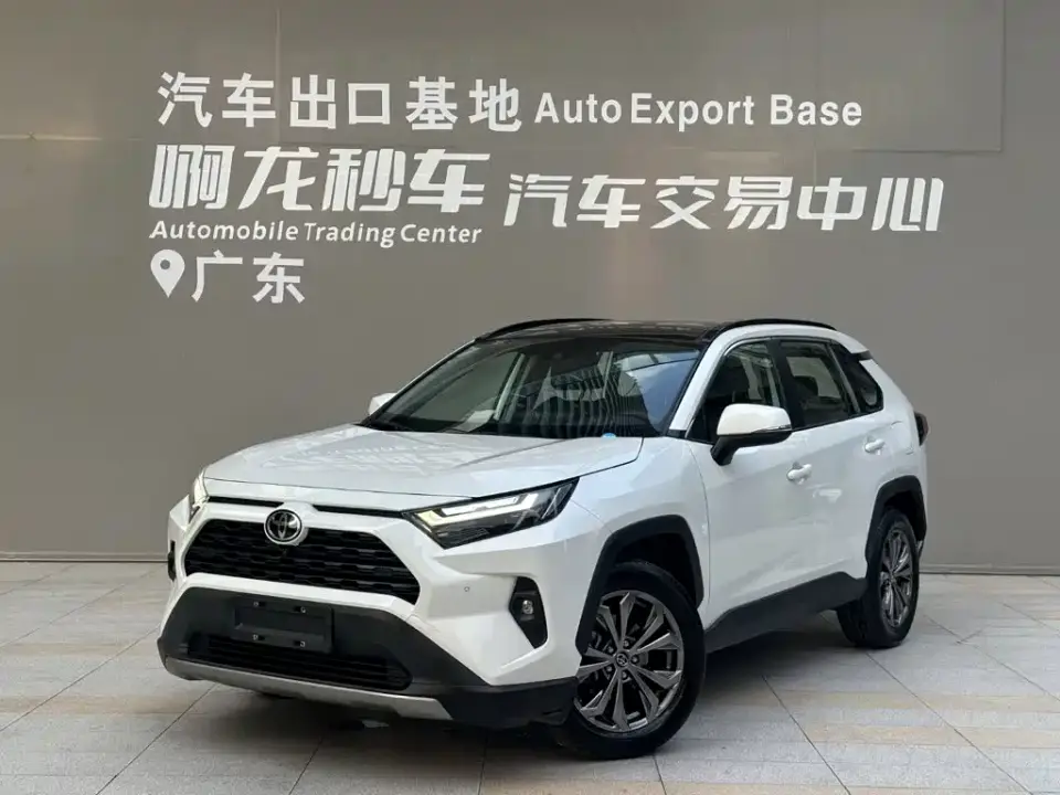 Toyota RAV4 Rongfang 2.0L CVT 2WD 20th Anniversary Platinum Edition 2023