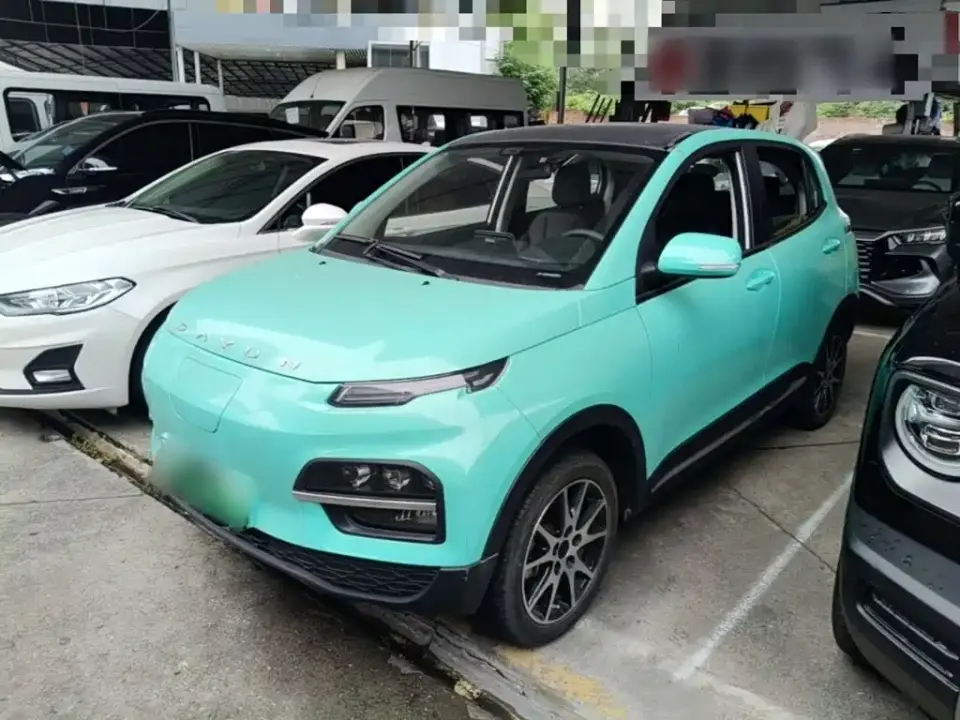 Dayun Yuehu 30.66kWh 2WD VIP Edition 2022
