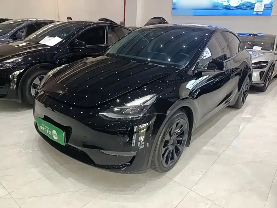 Tesla Model Y Standard Range Rear-Wheel Drive 2021
