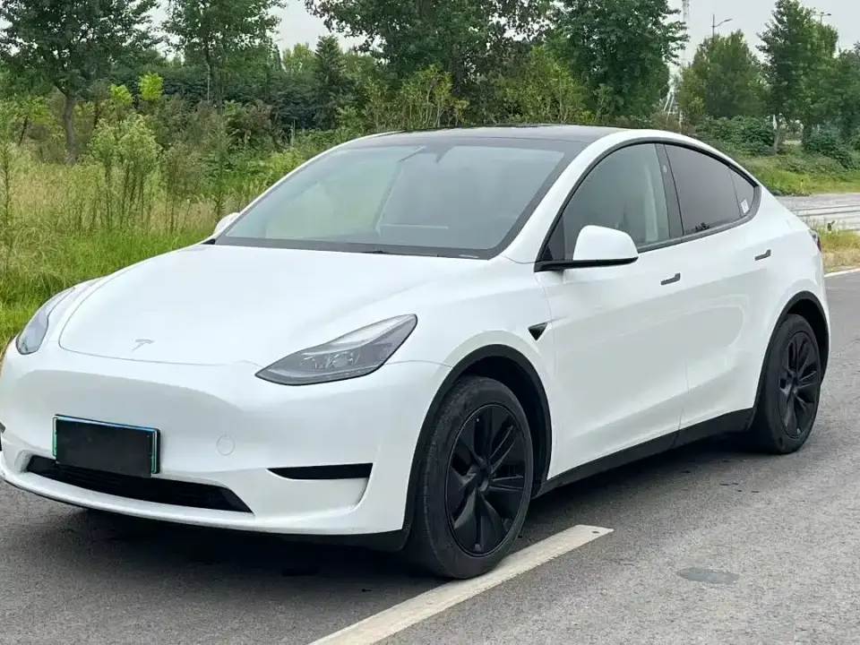 Tesla Model Y Rear-Wheel Drive Version 2024