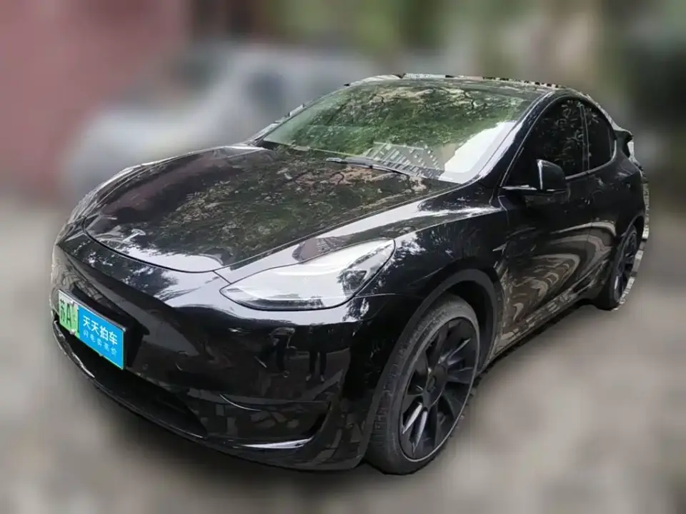 Tesla Model Y Rear-Wheel Drive Version 2022
