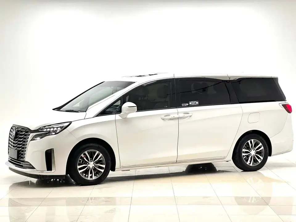 Buick GL8 ES Landmaster Exclusive 2024