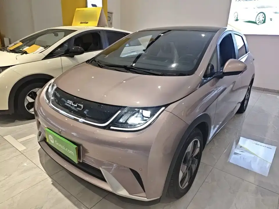 BYD Dolphin Glory Edition 420km Fashion Edition 2024