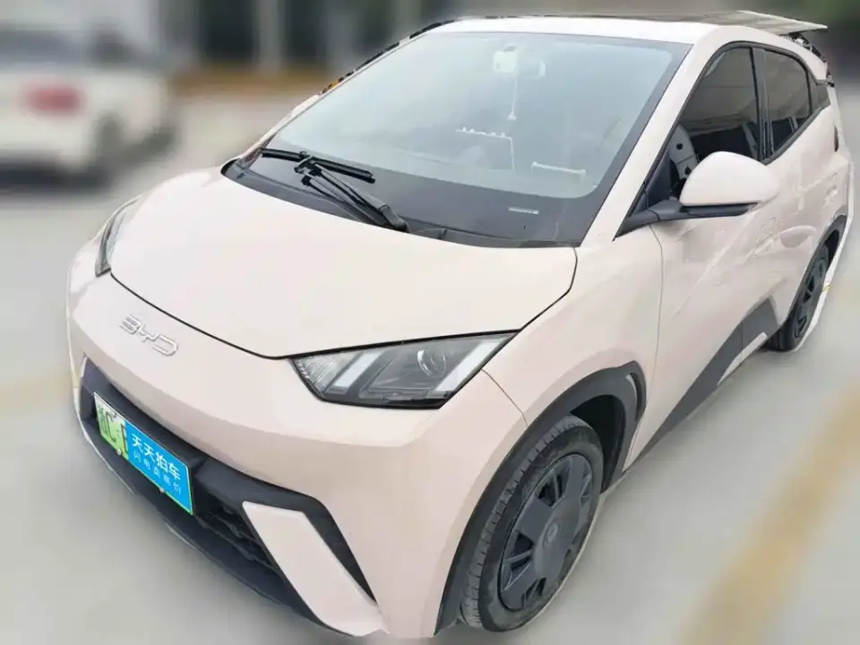 BYD Seagull 305km Vitality 2024