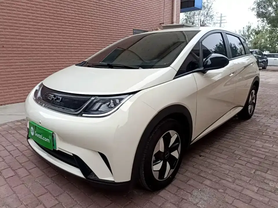 BYD Dolphin 420km Freedom Edition 2026