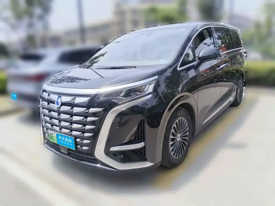 Denza D9 DM-i 1050 Premium 2024