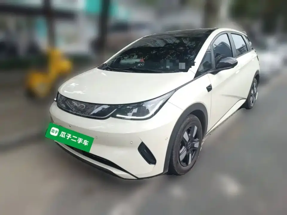 BYD Dolphin Smart Drive Edition 410km Fashion Version 2025