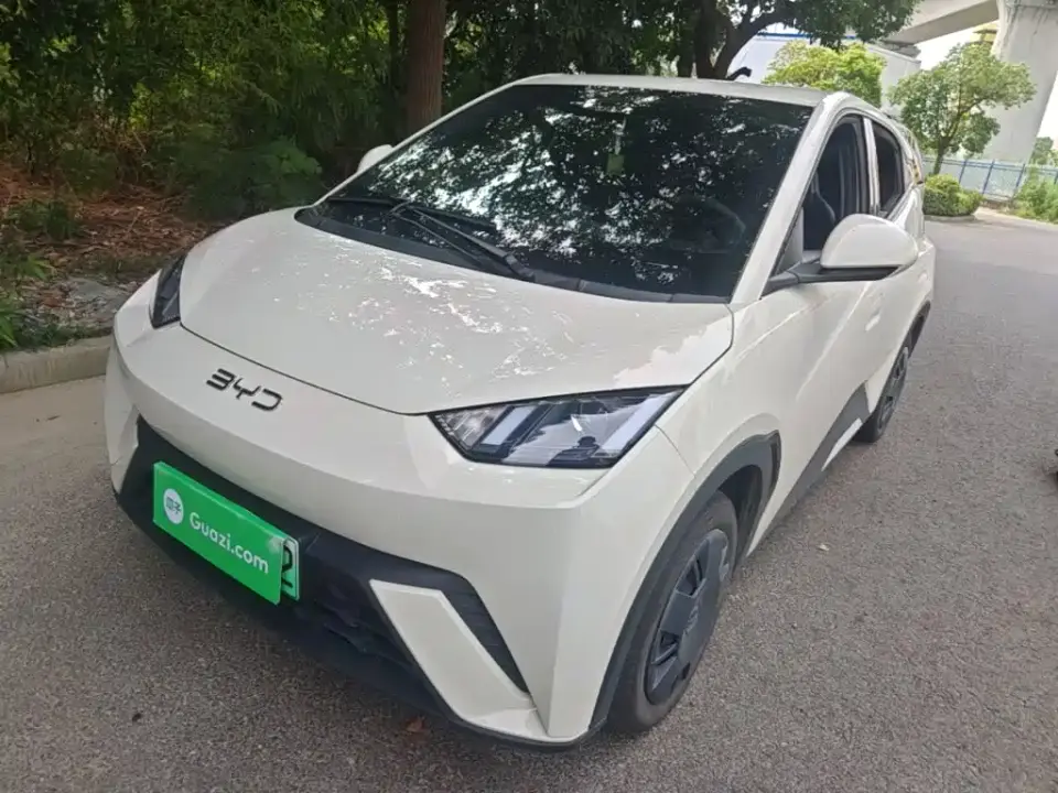 BYD Seagull 305km Vitality 2025