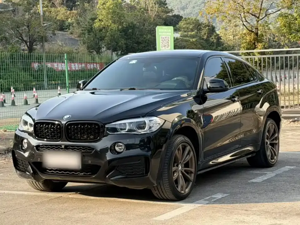 BMW X6 xDrive35i M Sport Package 2019