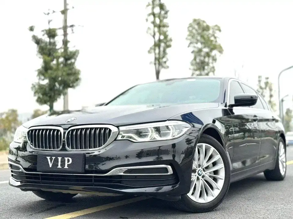 BMW 5 Series 530Li Premium Luxury Package 2019
