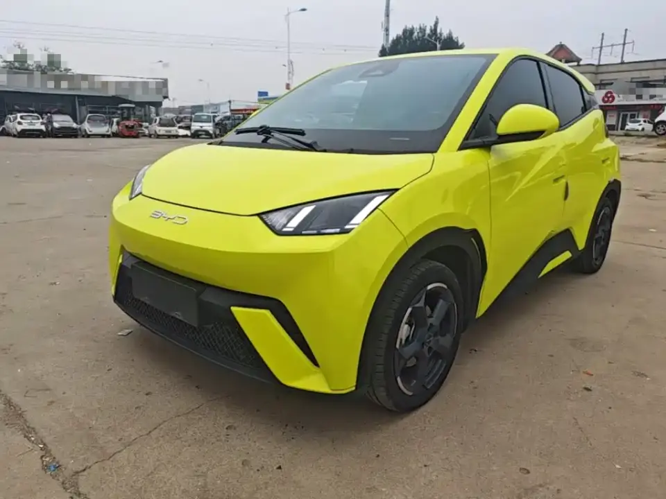 BYD Seagull Flying Edition 2024