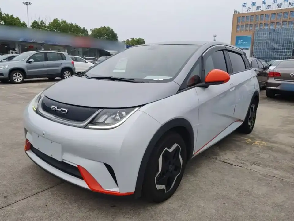 BYD Dolphin Model 405km Fashion Edition 2021