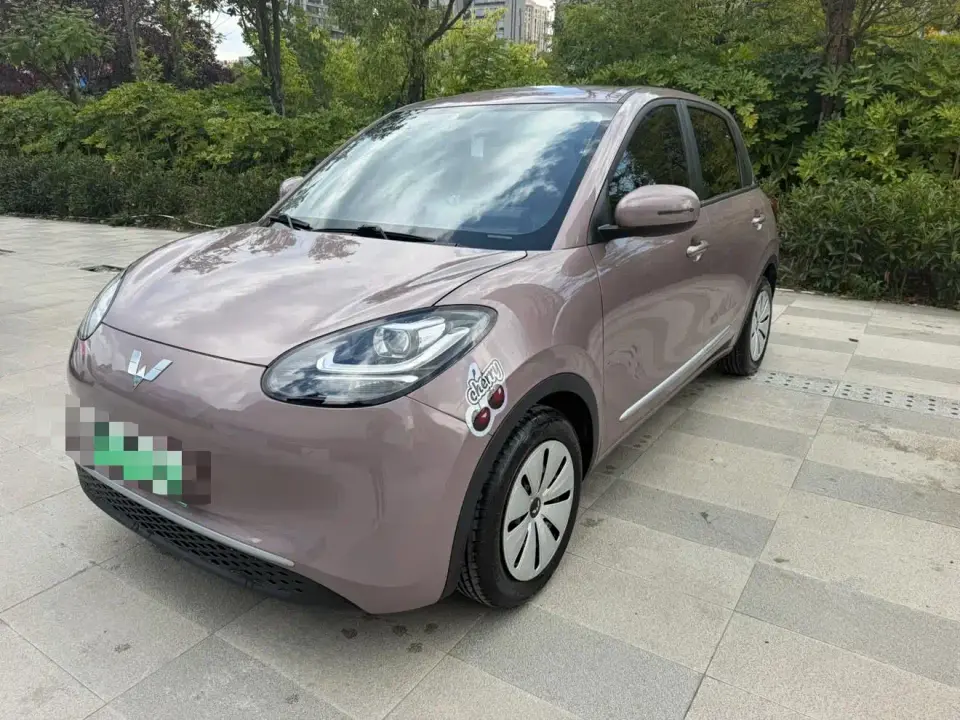 Wuling Motors Wuling Bingo Model 203km Lite Enjoyment Edition 2023