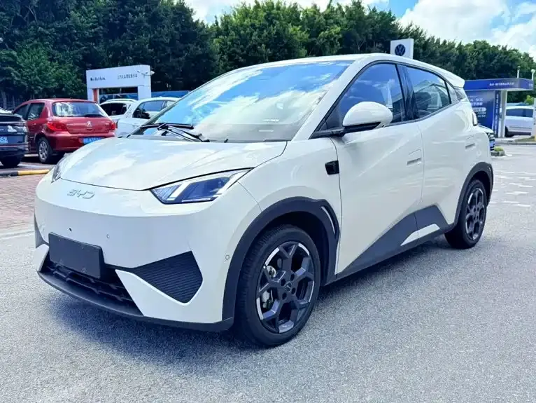 BYD Seagull Smart Drive Edition 305km Freedom Version 2025