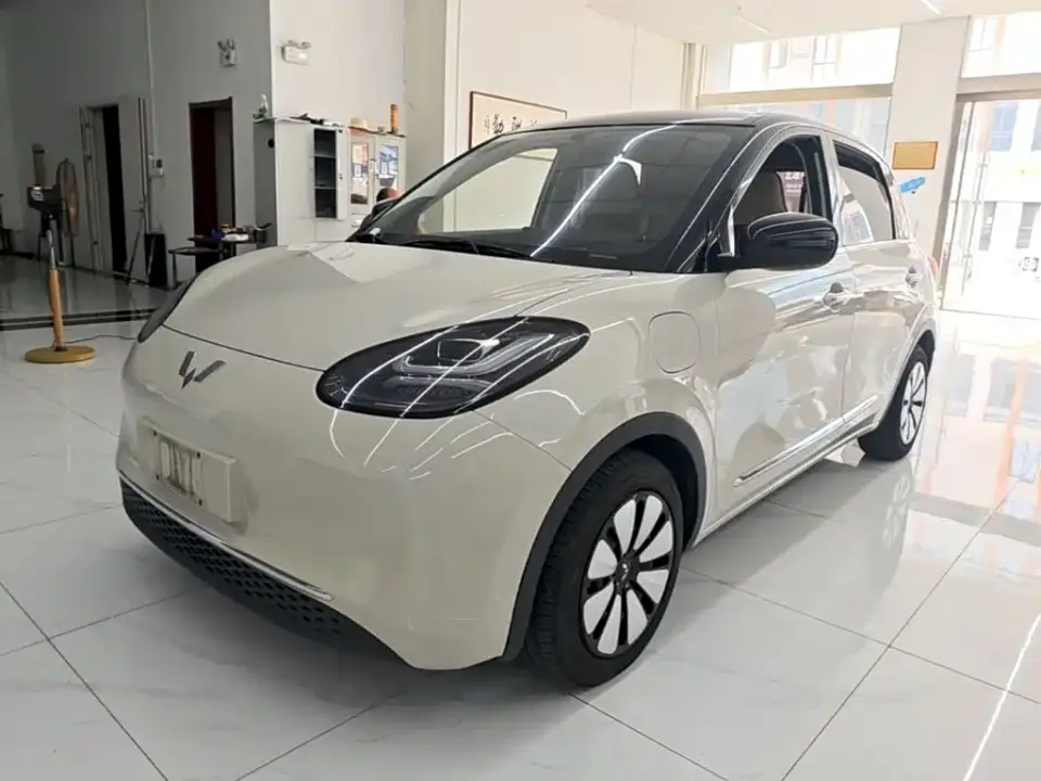 Wuling Motors Wuling Bingo 333km Comfort Edition 2024