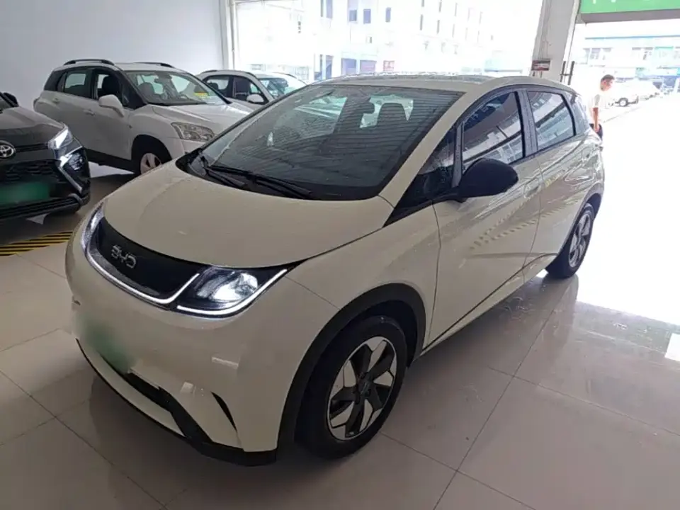 BYD Dolphin 420km Freedom Edition 2025