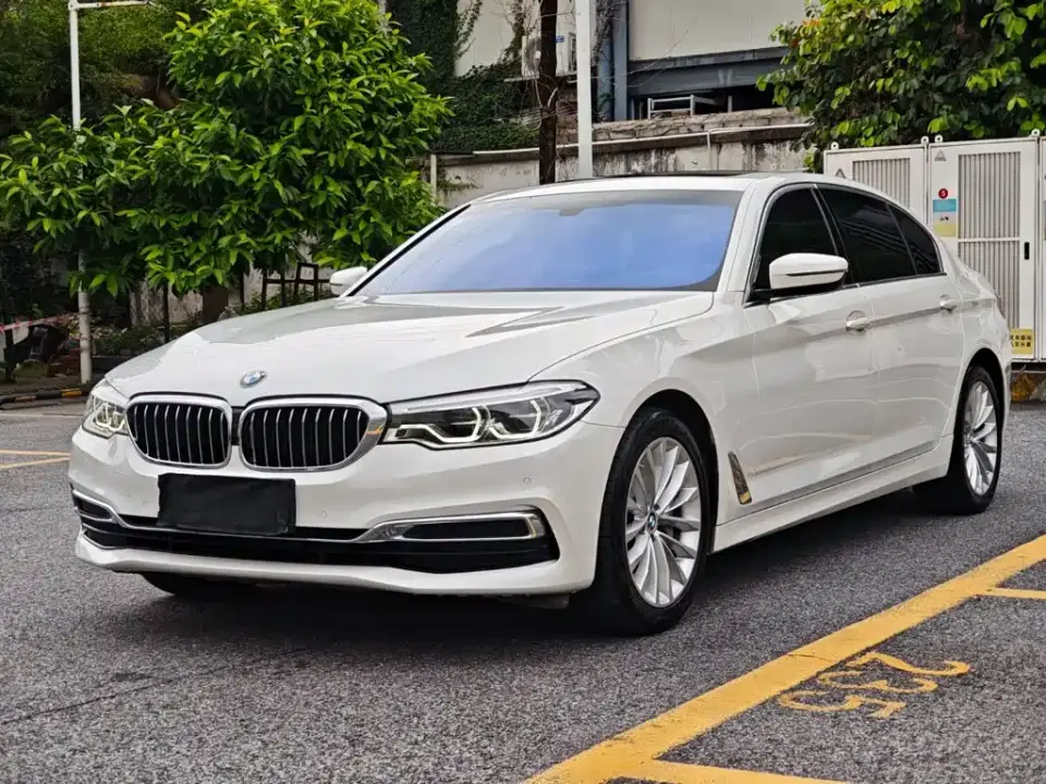 BMW 5 Series 530Li Leading Luxury Package 2020