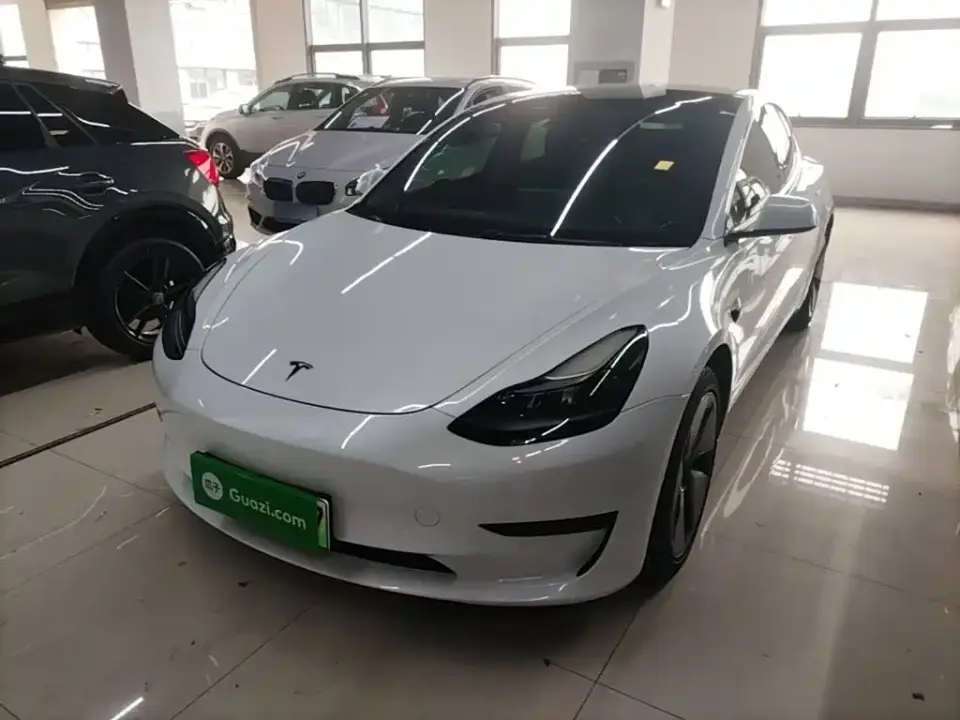 Tesla Model 3 Model Rear-Wheel Drive Version 2022