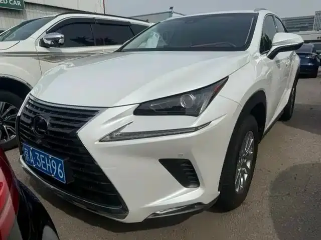 Lexus NX Model 200 AWD Fengshang Edition China V 2019