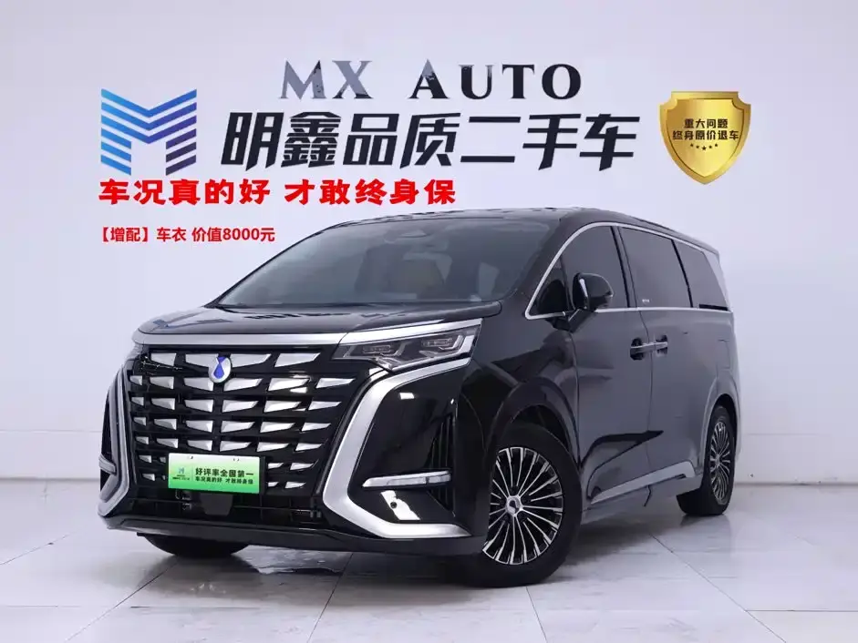 Denza D9 DM-i 980 AWD Premium 2025