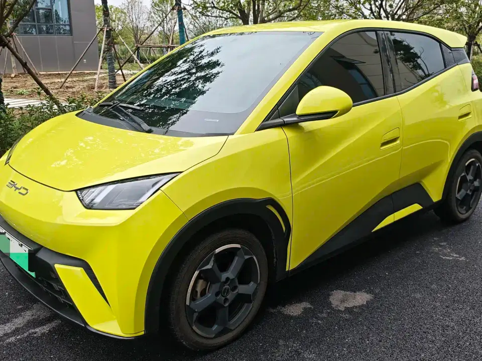 BYD Seagull Freedom Edition 2023