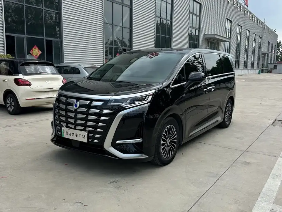 Denza D9 DM-i 1050 Premium 2025