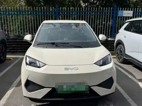 BYD Seagull 305km Freedom 2025