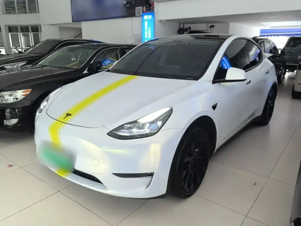 Tesla Model Y Standard Range Rear-Wheel Drive 2021