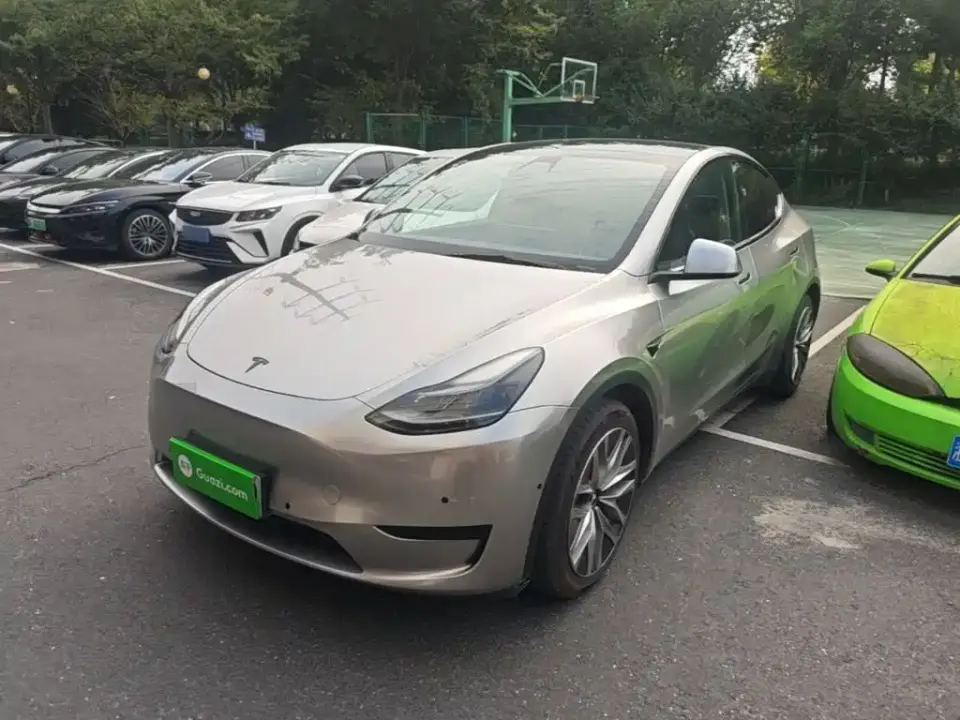 Tesla Model Y Rear-Wheel Drive Version 2022