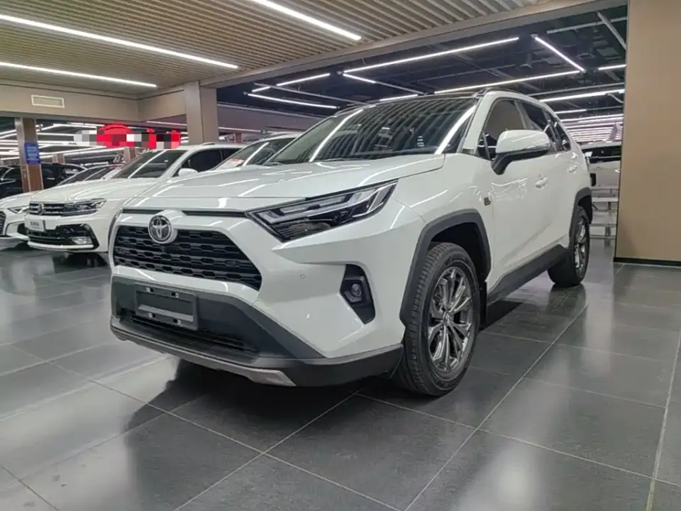 Toyota RAV4 Rongfang 2.0L CVT 2WD 20th Anniversary Platinum Edition 2024