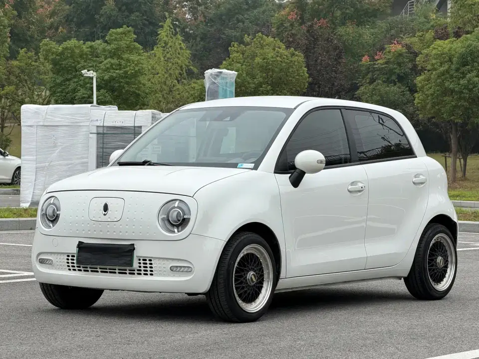 ORA Black Cat 351km Luxury Model 2020