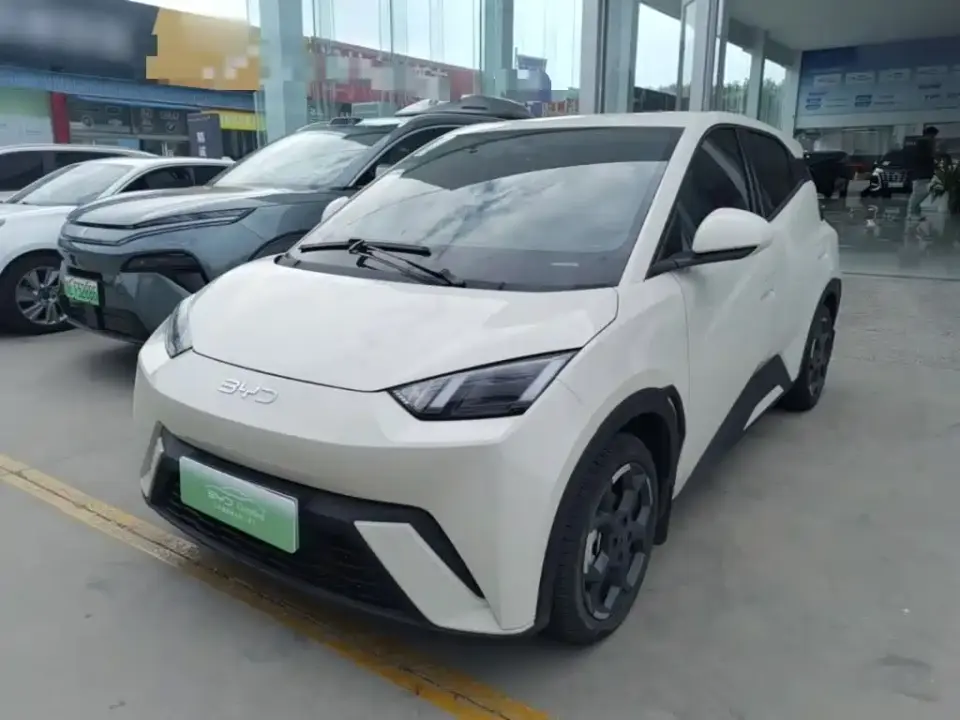 BYD Seagull 305km Freedom 2024
