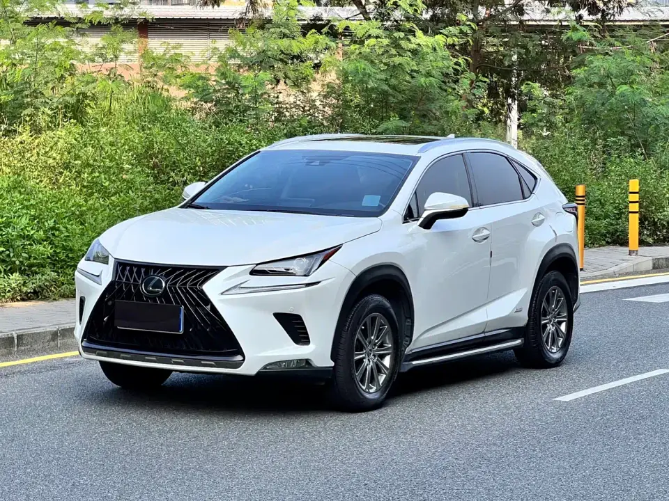 Lexus NX 200 AWD F Sport China VI 2020