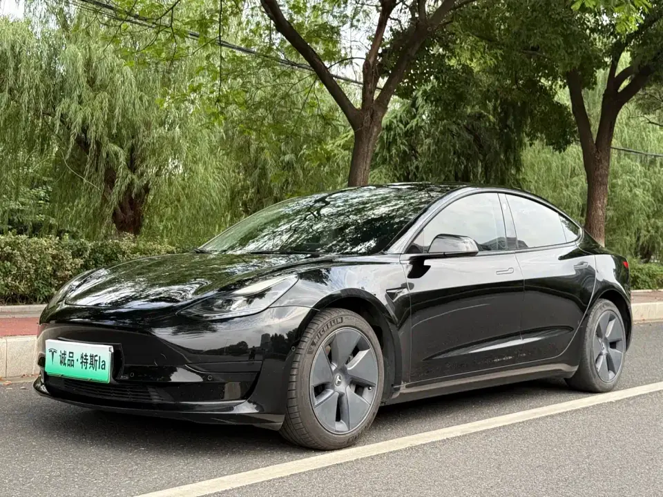 Tesla Model 3 Model Rear-Wheel Drive Version 2022