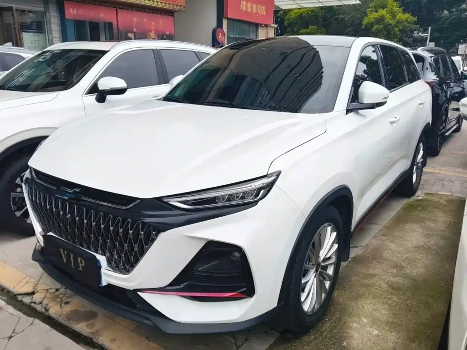 Changan Oshan X7 PLUS 1.5T Blue Whale Edition Auto Executive 2023