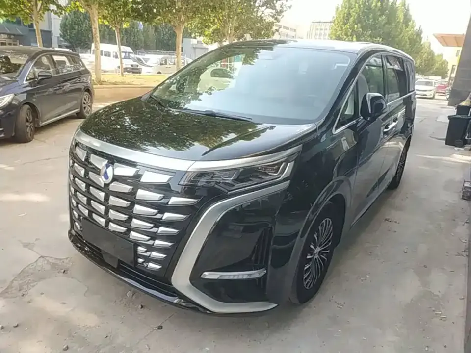 Denza D9 DM-i 1050 Premium 2025