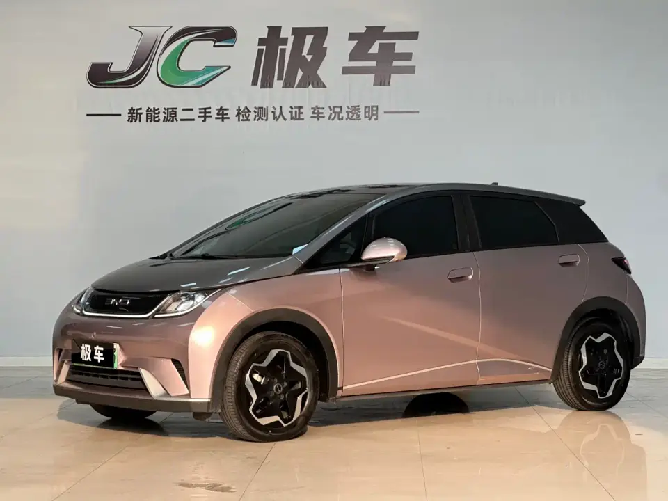 BYD Dolphin Model 405km Fashion Edition 2022