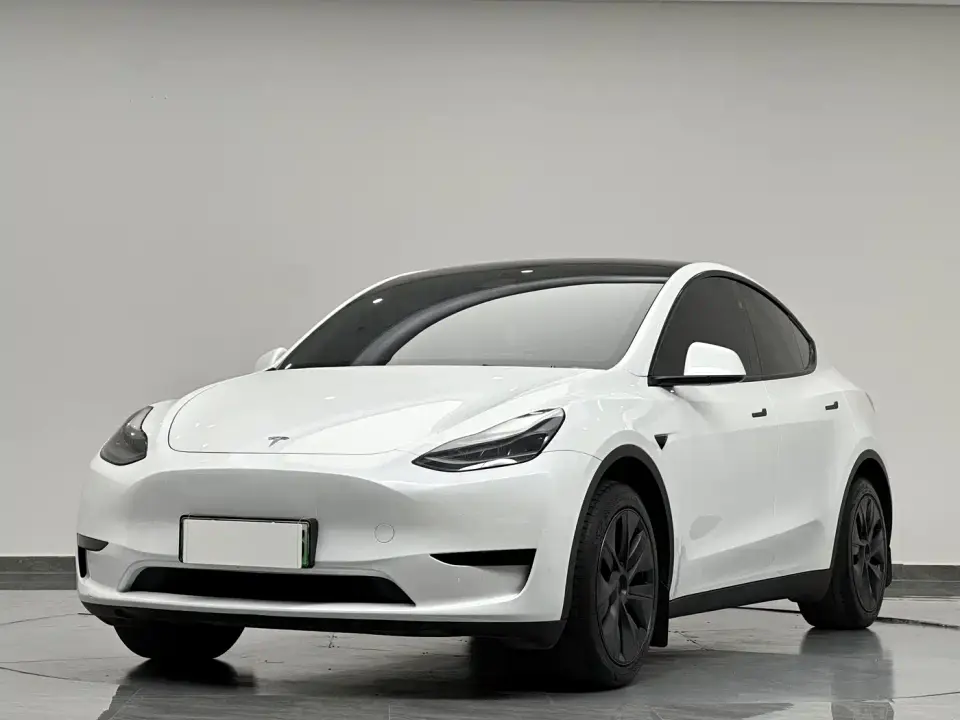 Tesla Model Y Rear-Wheel Drive Version 2024