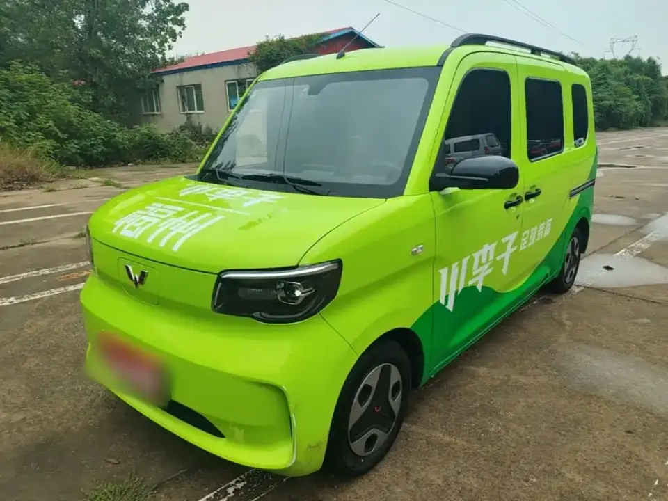 Wuling Motors Wuling Zhiguang NEV Model Comfort 2025