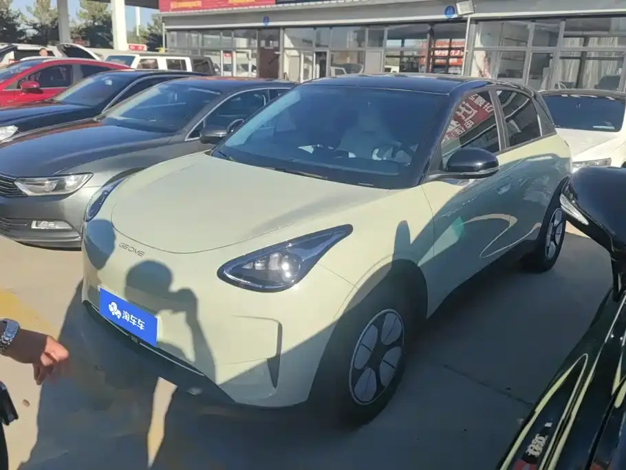 Geely Galaxy Starry Wish 310km Youth Edition 2025