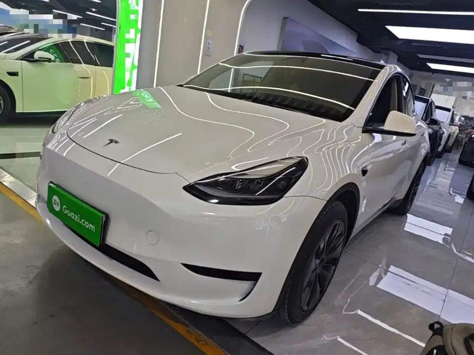 Tesla Model Y Rear-Wheel Drive Version 2024