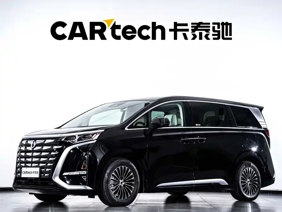 Denza D9 DM-i 1050 Premium 2025