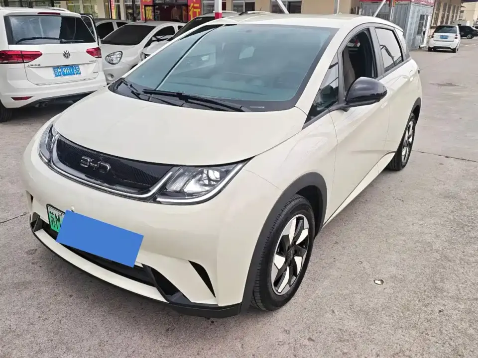 BYD Dolphin 420km Freedom Edition 2026
