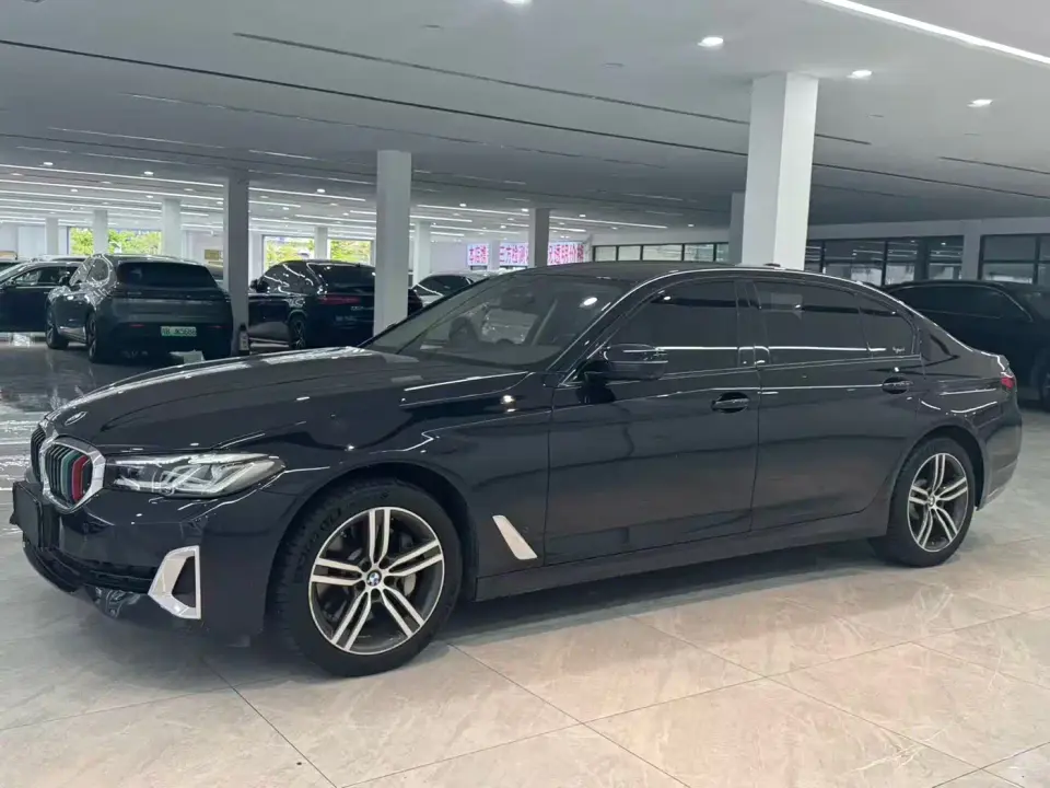 BMW 5 Series 530Li Leading Luxury Package 2021