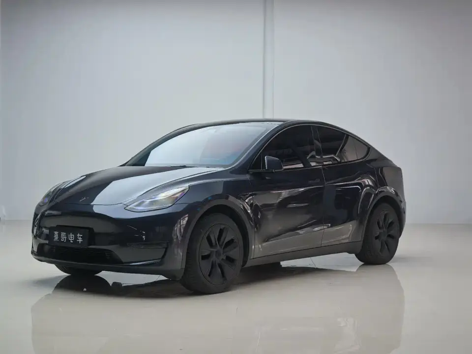 Tesla Model Y Long Range AWD 2024